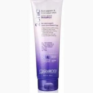 2chic® repairing shampoo